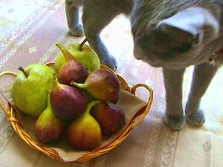 食欲の秋・・・