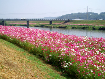 PA160047.jpg
