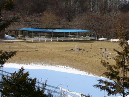 乗馬場！