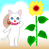 summercat1.gif