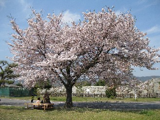 第５回 春の義士祭　2009.04.12 010.jpgブログ.jpg