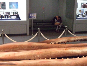 ダイオウイカのそばで寝ている人