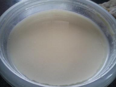 自家製豆乳ヨーグルト　3代目.JPG
