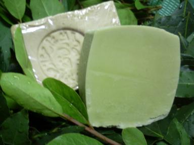 緑茶廃油石鹸3アレッポの石鹸