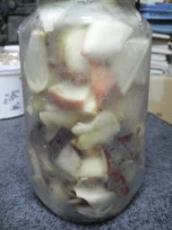 りんご酵母2　水なし仕込み　10.23.JPG