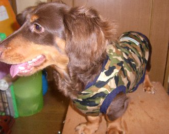 迷彩アース正面1