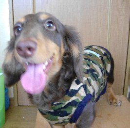 迷彩アース正面2