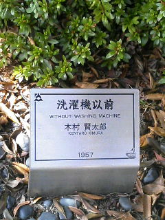 1009-1.jpg