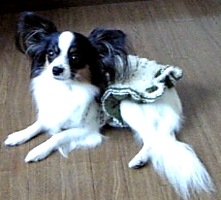 寝転がってやる!!