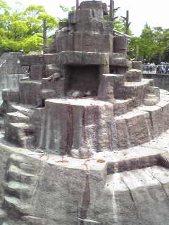 豊橋動植物公園　さるどこ？