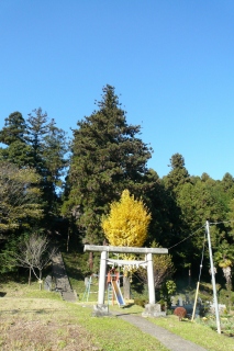 神社