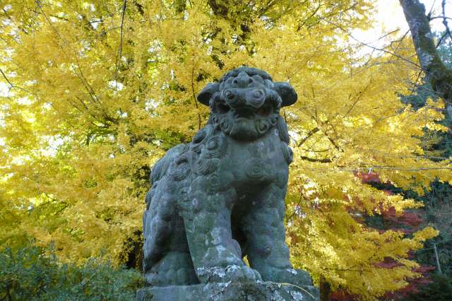 狛犬さん