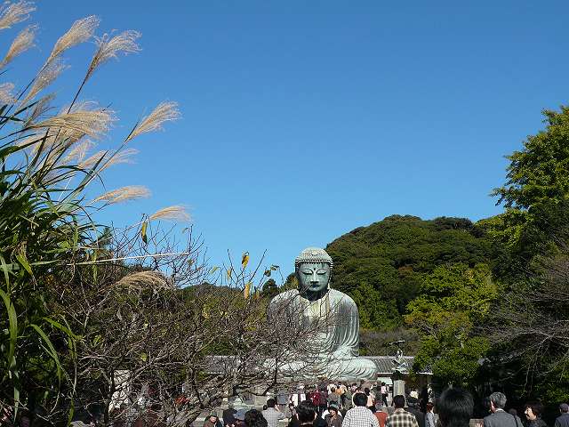 すすきと大仏