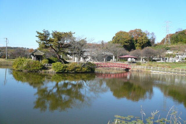 相模湖よりきれい