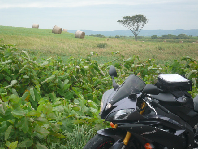 北海道ツーリング サロベツ2.jpg
