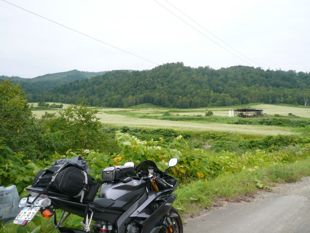 北海道ツーリング 士別蕎麦畑.jpg