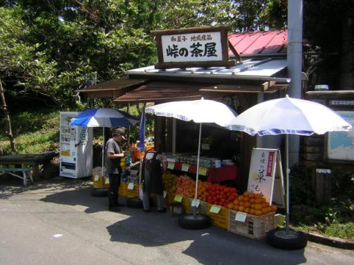 センヒャクさん復帰記念伊豆ツー20070630 004.jpg