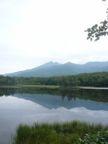 北海道ツーリング 知床五湖.jpg