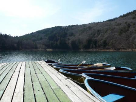 伊豆六湖20080322 011.jpg