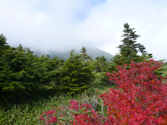 御嶽山ツー 009.jpg