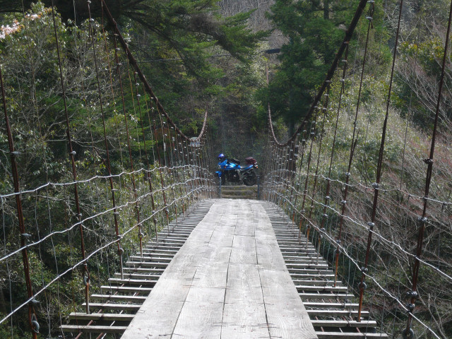 R425のつり橋.jpg