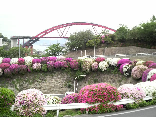 第２音戸大橋（ツツジ）
