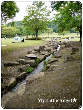 公園その2.jpg