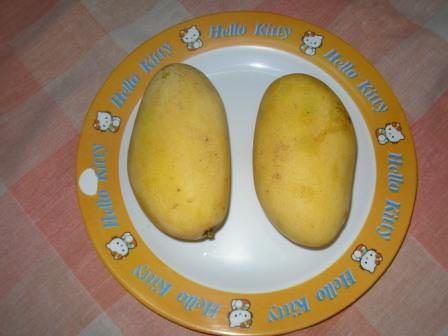mango 2.jpg