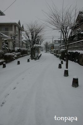 20080209雪004.JPG