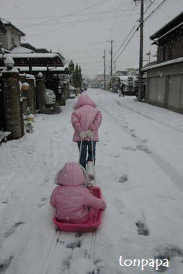 20080209雪006.JPG