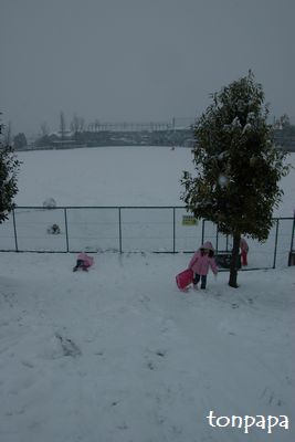 20080209雪021.JPG