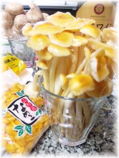 キノコちゃん♪