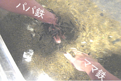 image44.jpg