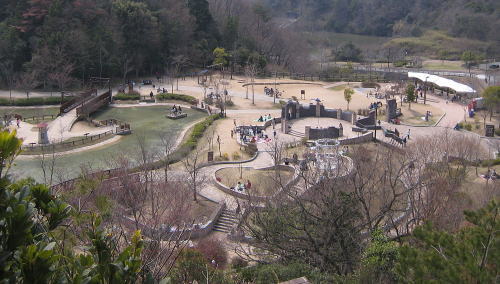 image1.jpg