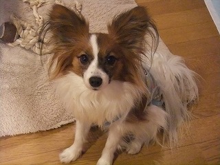 ダイスケ・・１・１０