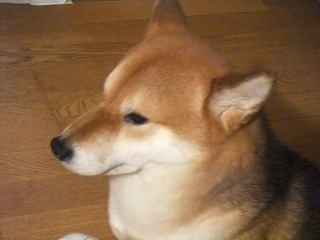 ツナ・・１・２３