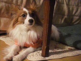 ダイスケ・・１・２３