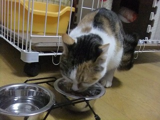 メイ・・１・２３