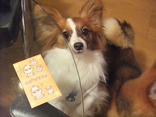 ダイスケ・・１・２