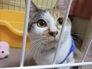 メイ・・１・２