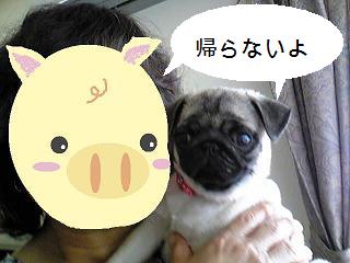 １Image13811.jpg