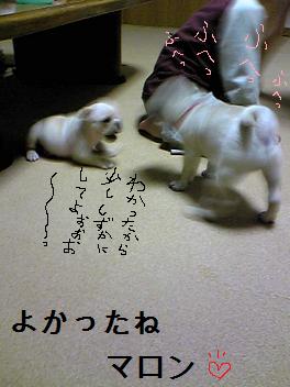 Image0751.jpg