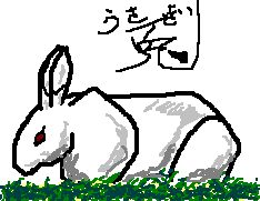 usagi.PNG