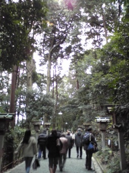 狭井神社へ.jpg