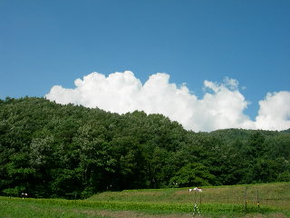 空と森と畑