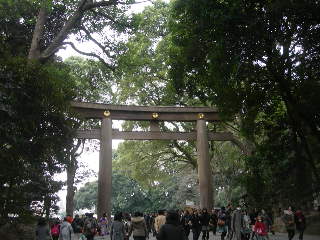 明治神宮.JPG