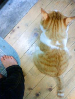 台所でお手伝い？？