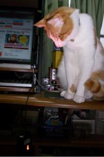 不気味に赤く光るのだ