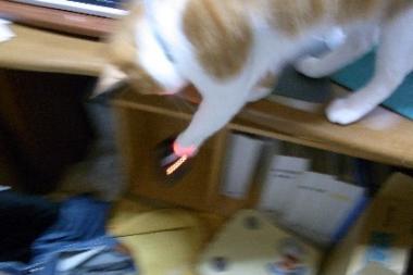 落としても気に喰わないのだ