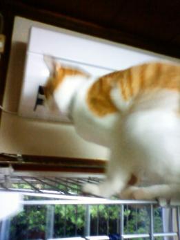 エアコンを確認